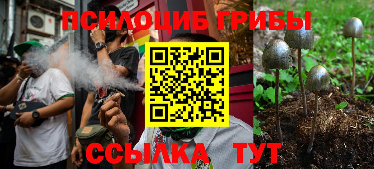 Галлюциногенные грибы Cubensis Волоколамск