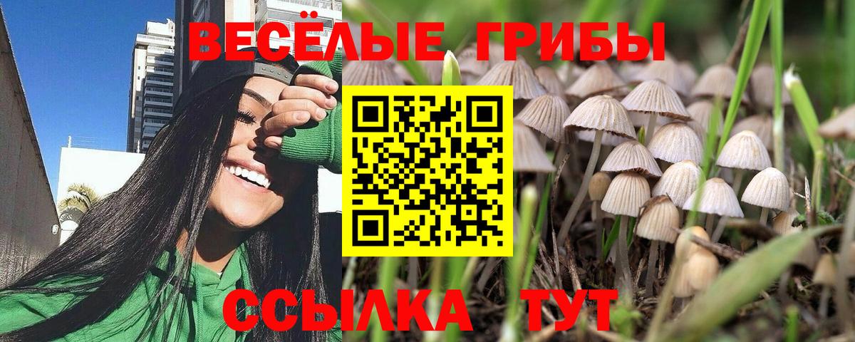 Галлюциногенные грибы Magic Shrooms  Вход с VPN  Волоколамск 